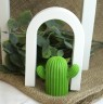 kaktus_Easy-Resize.com