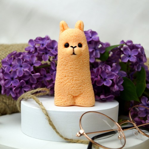 alpaczkasklep_Easy-Resize.com
