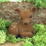 sarna2_Easy-Resize.com