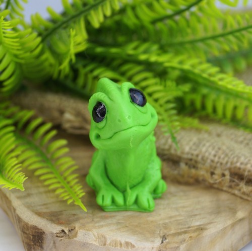 kameleonsklep2