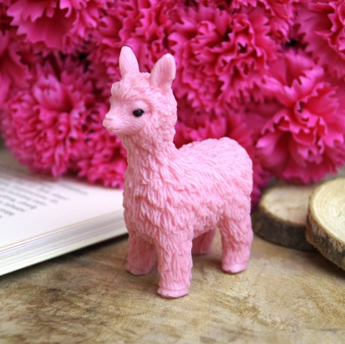 lama3.JPG